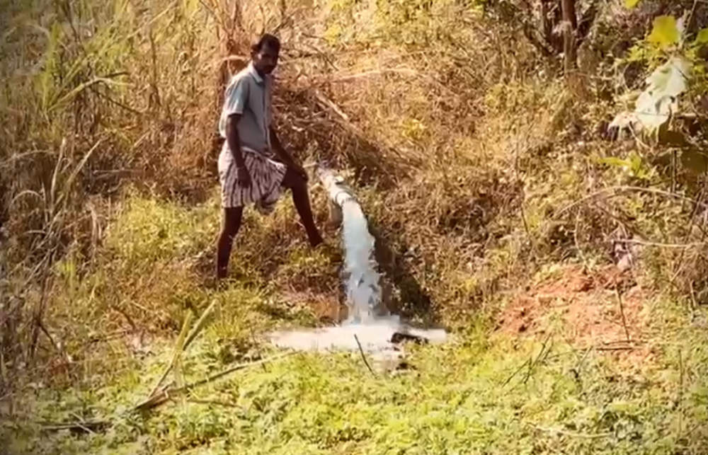 The Fish Pond project: Turning dirt into dignity india farming 2