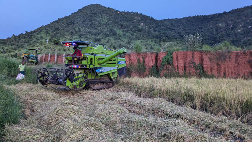 rice farming 6